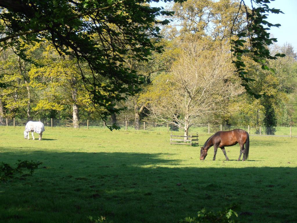 Riversdale Farm B&B Ballinamore Exterior photo