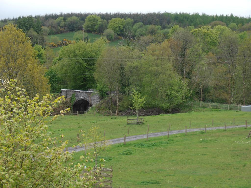 Riversdale Farm B&B Ballinamore Exterior photo